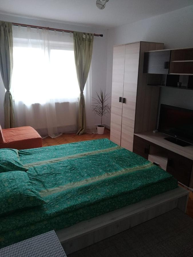 Апартаменты Apartament Erik Сибиу Экстерьер фото